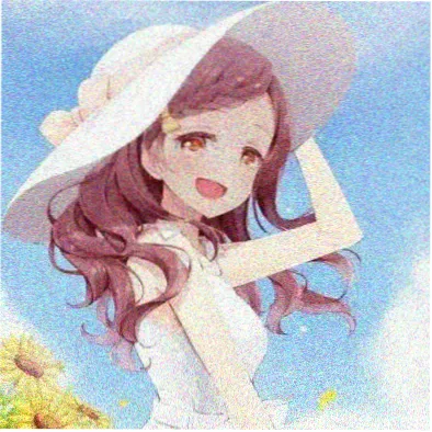 观众头像 番剧搬运工